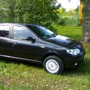 Продаю Fiat  Albea 1.4