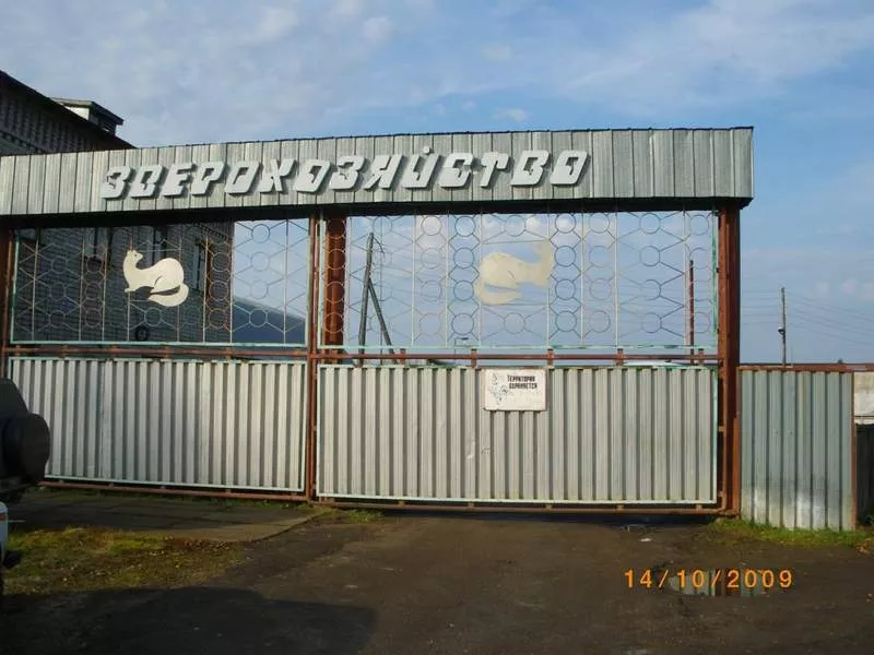 Продается производственная площадка под строительство птицефабрики или иное производство в Кировской обл. 2